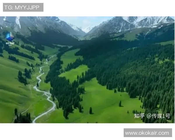 贾诚：在时代变革中探索创新与责任的年轻力量